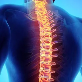 Spinal Cord Injuries